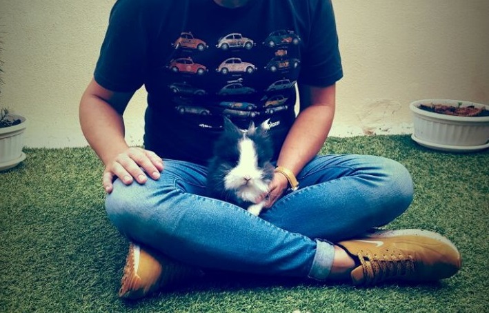 la llegada de una nueva mascota a casa - la casa de un conejo