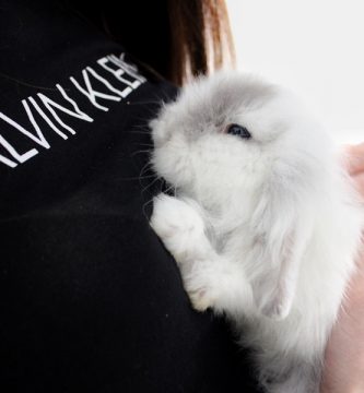 como nacen los conejos recién nacidos
