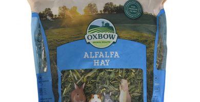 Heno de alfalfa para conejos enanos Oxbow